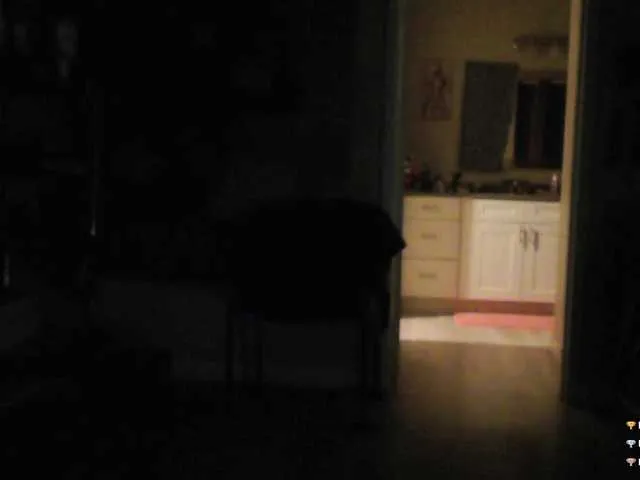 QueenAnitaDix Image 13