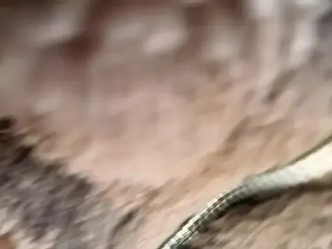 _Bella-Office1 Image 4