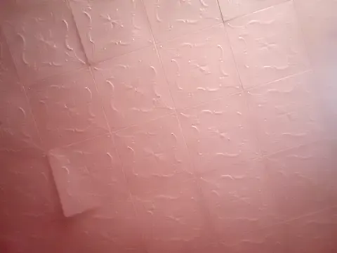 Lauren_Amabel Image 3