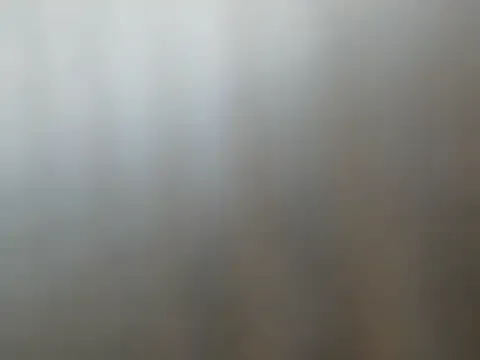 shandiloveslemonss Image 15