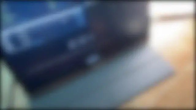 Theonlydreamybull Image 3